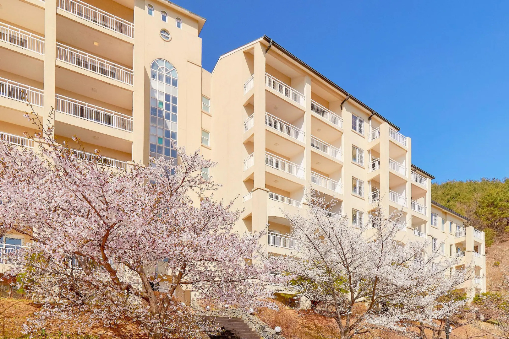 The Mauna Ocean Resort