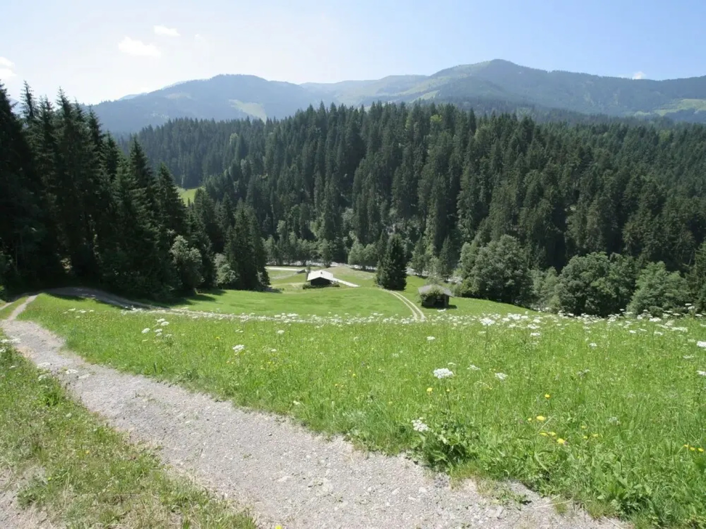 Wooden Chalet in Itter With Sauna