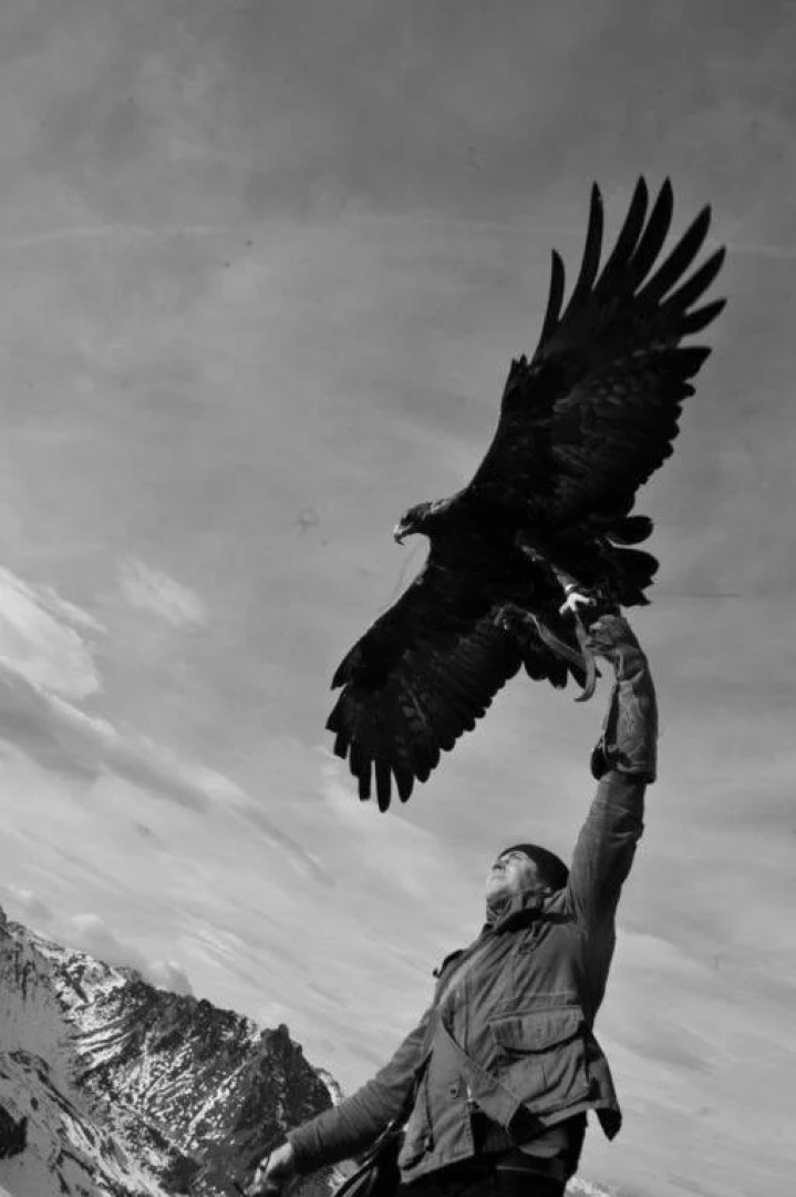 Phoenix Tree Business Hotel