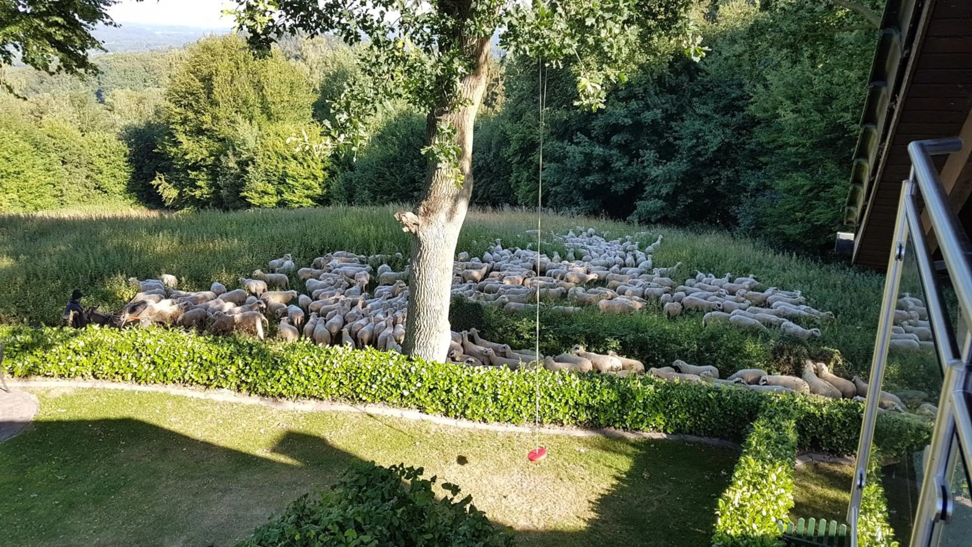 Ferienwohnung "Tecklenburger Augenblicke"