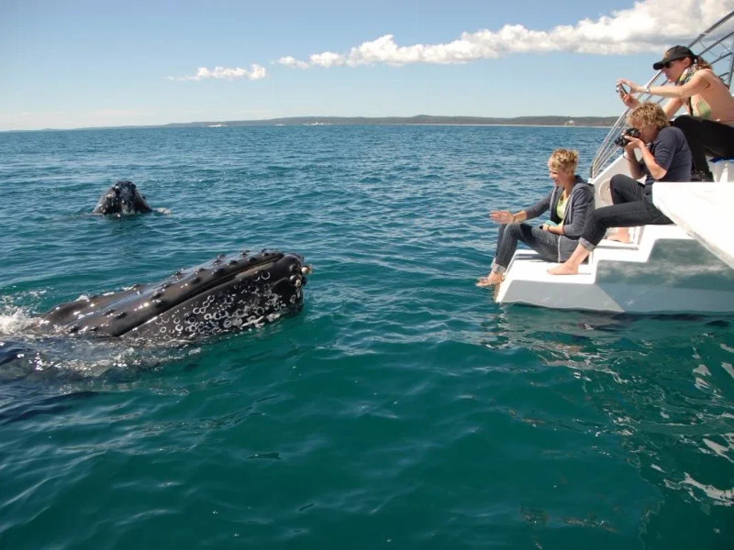 Big4 Hervey Bay Holiday Park