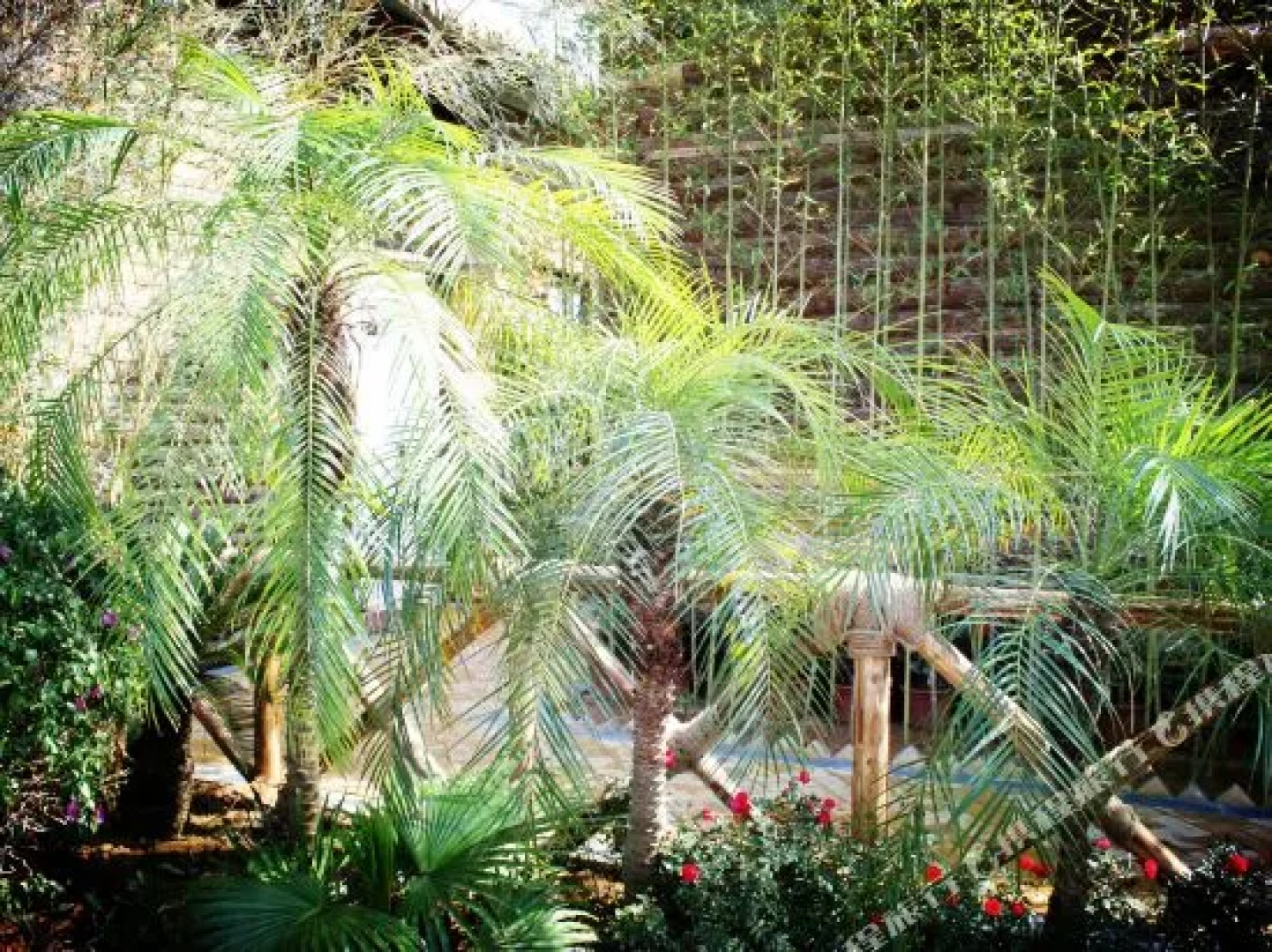 北海古厘岛度假酒店