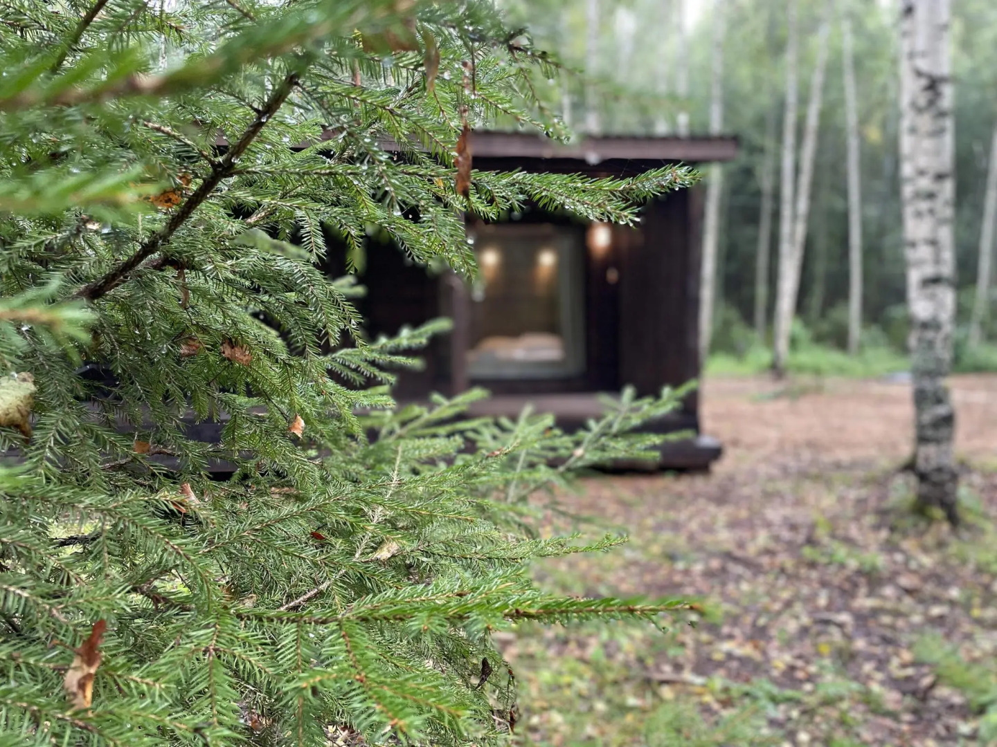 Forester Glamping (Форестер Глэмпинг)