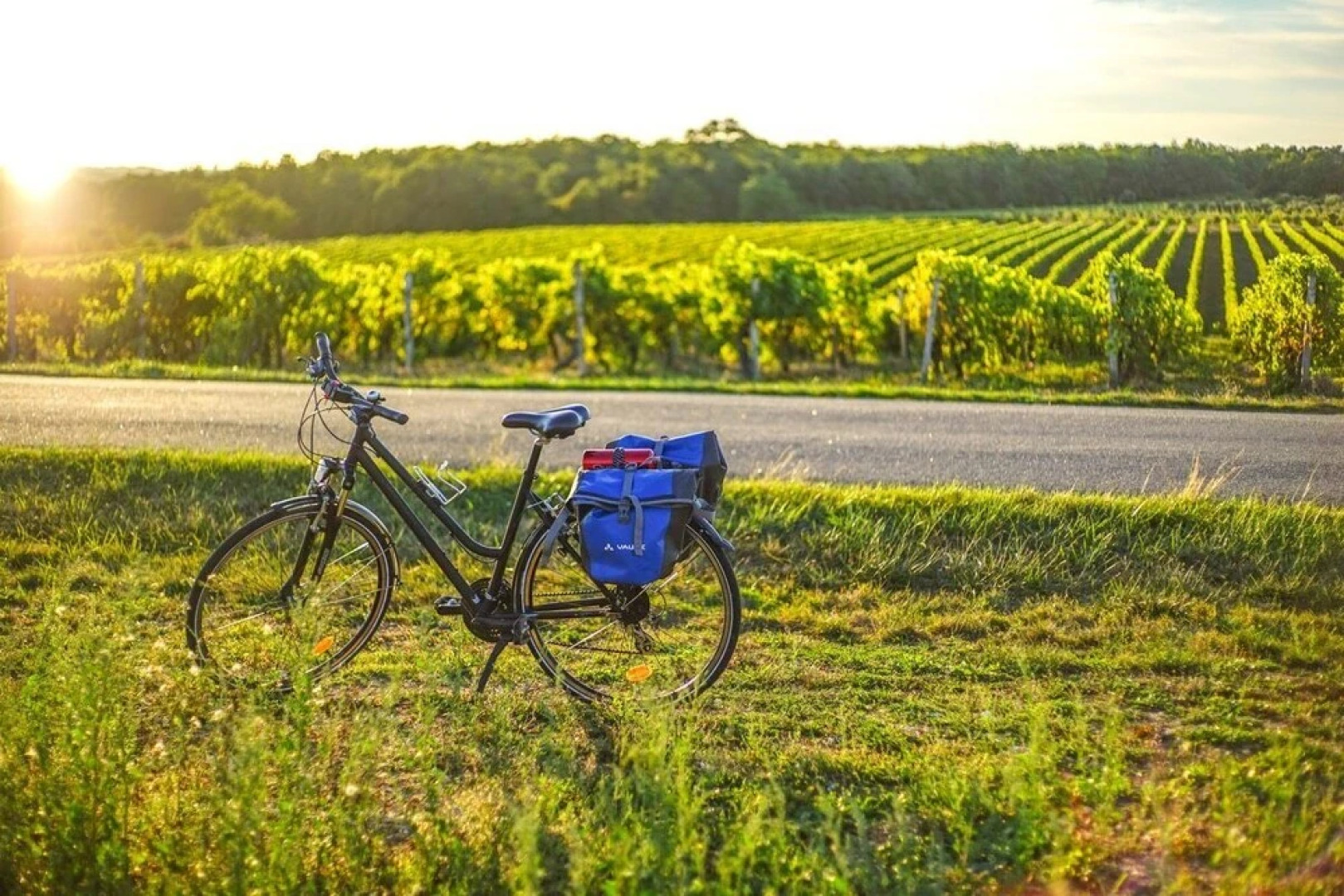 Logis Hôtel l'Essille