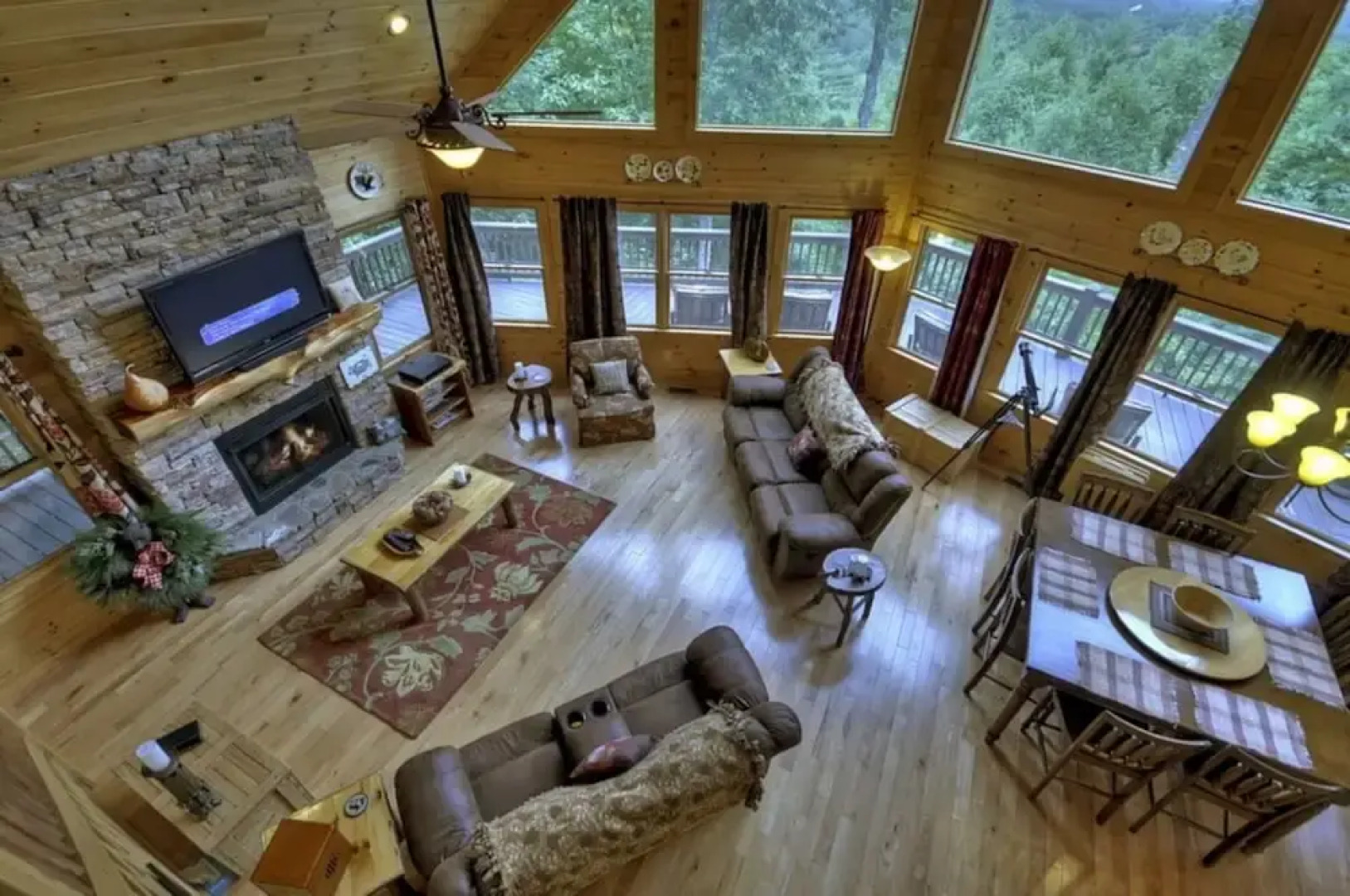 Treasure In The Trees