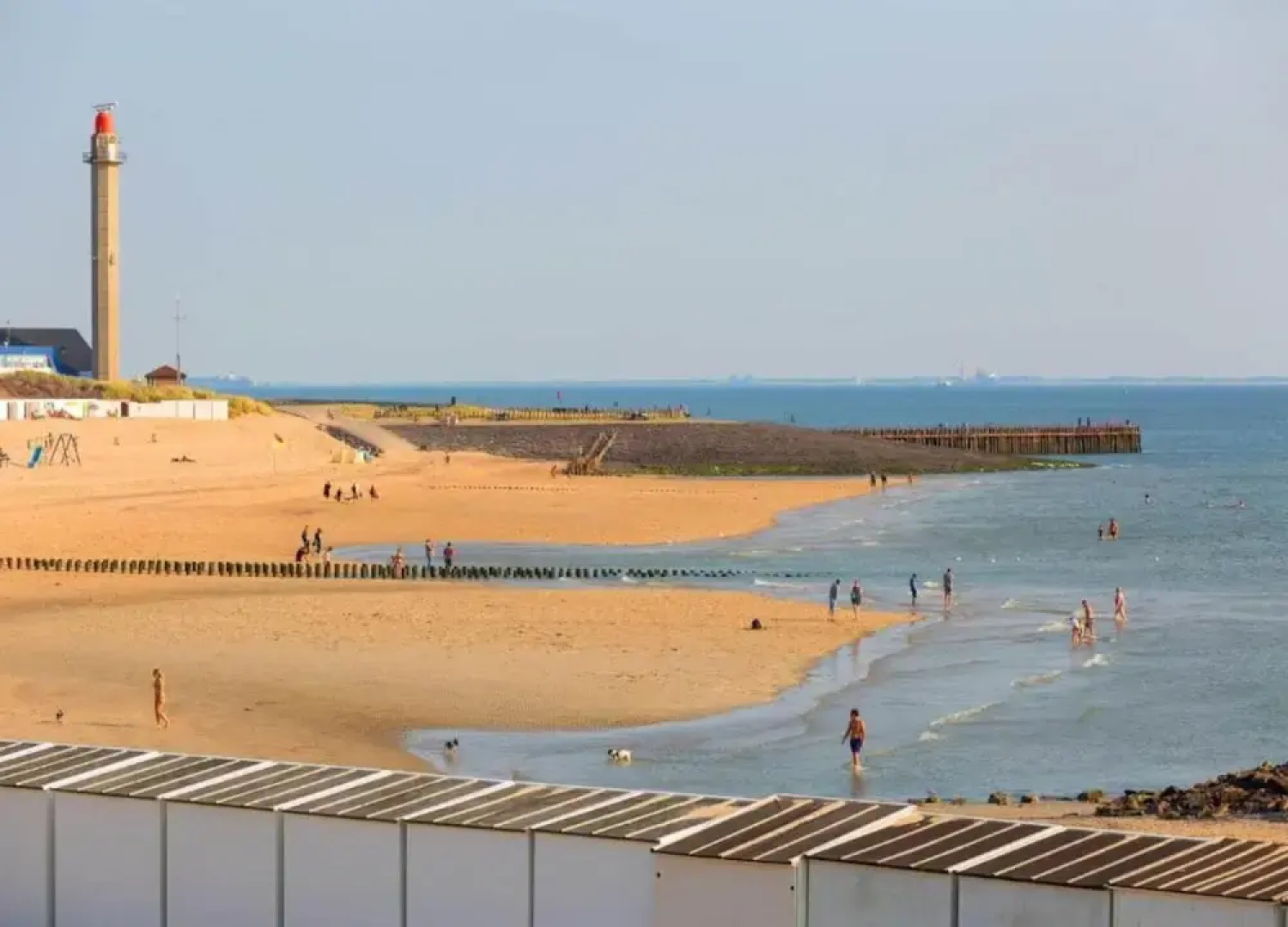 Pet-friendly Escape by the Sea