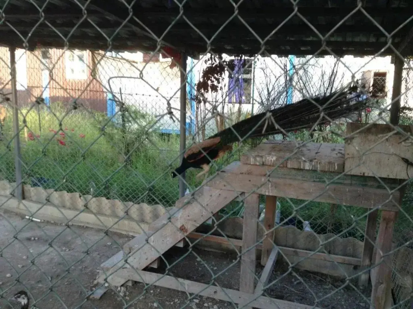 Raysky Ugolok Guest House