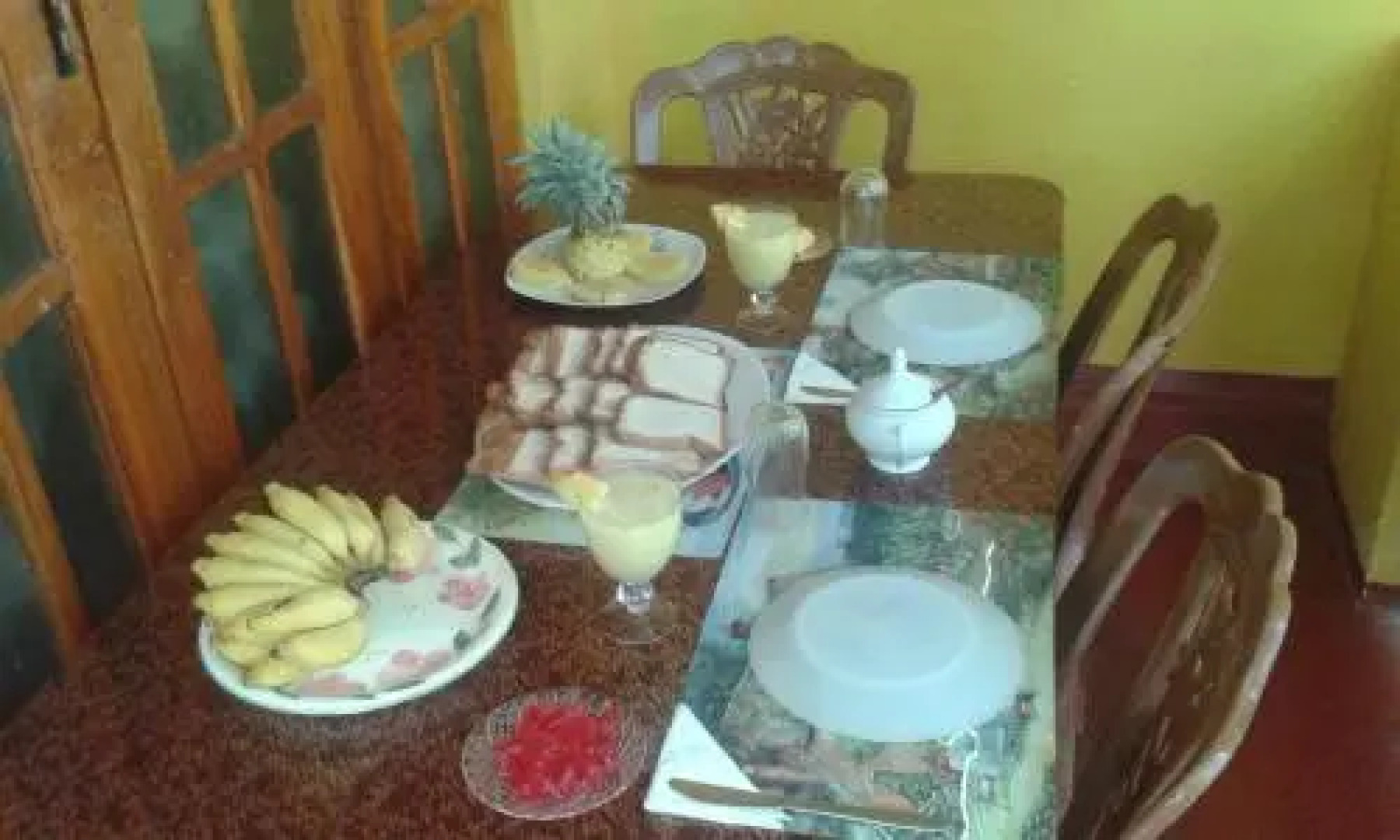 Elephant Reach Udawalawa