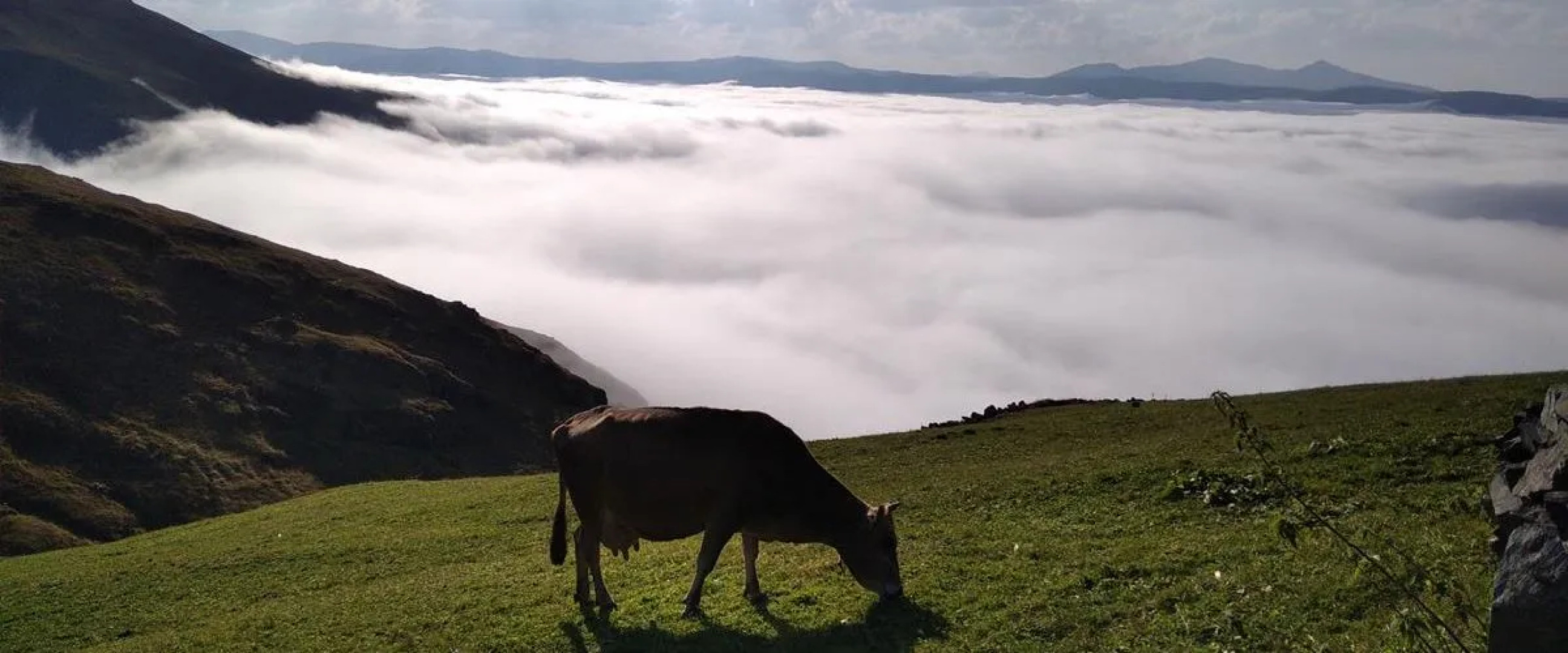 Migroras Otel & Restaurant - Karestel Yaylasi
