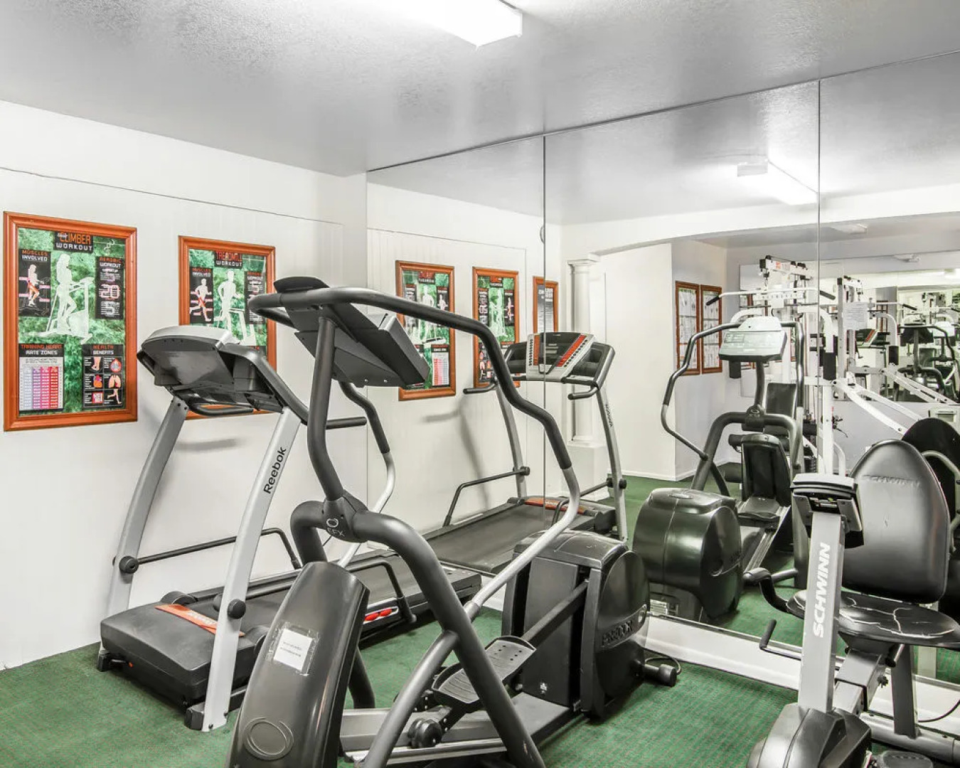 Quality Inn & Suites Mesa