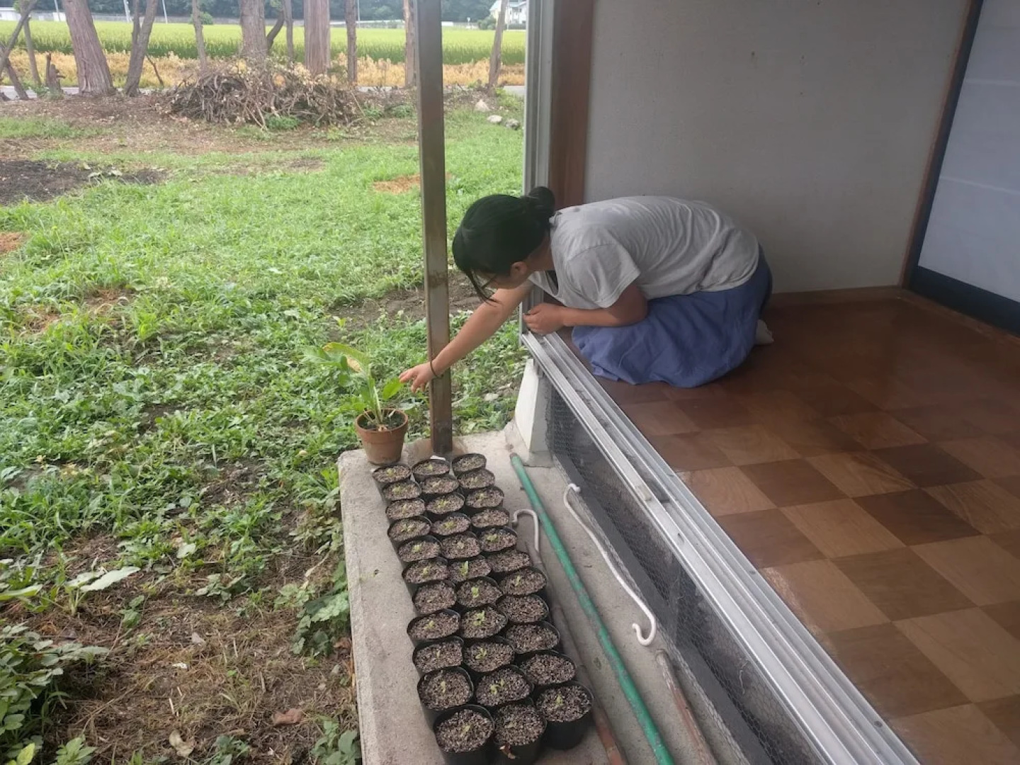 Tomo's hut in Japanese old style
