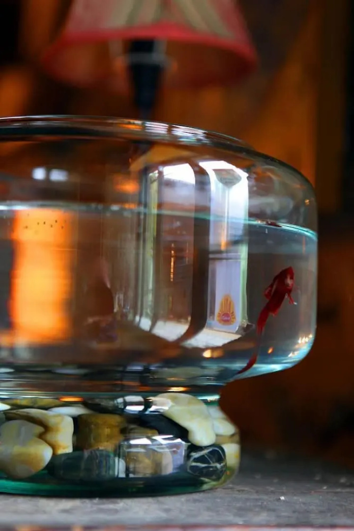 Logis Auberge Du Peras