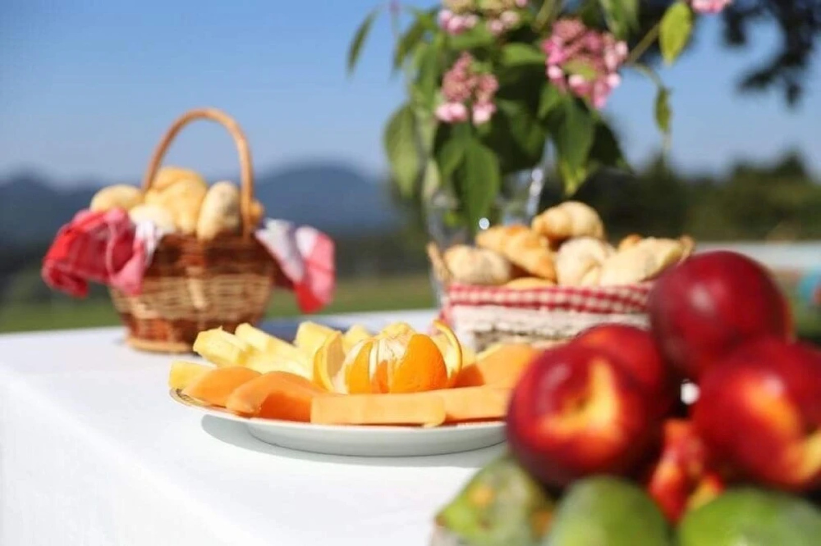 Treehouse Na Škaluc