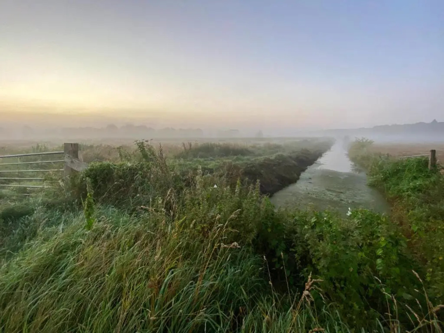 B&B Hof ter Lemferdinge