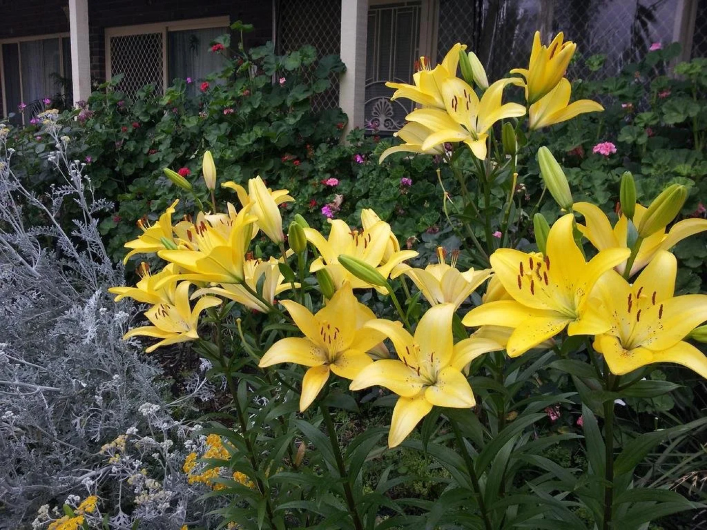 Russellee Bed and Breakfast