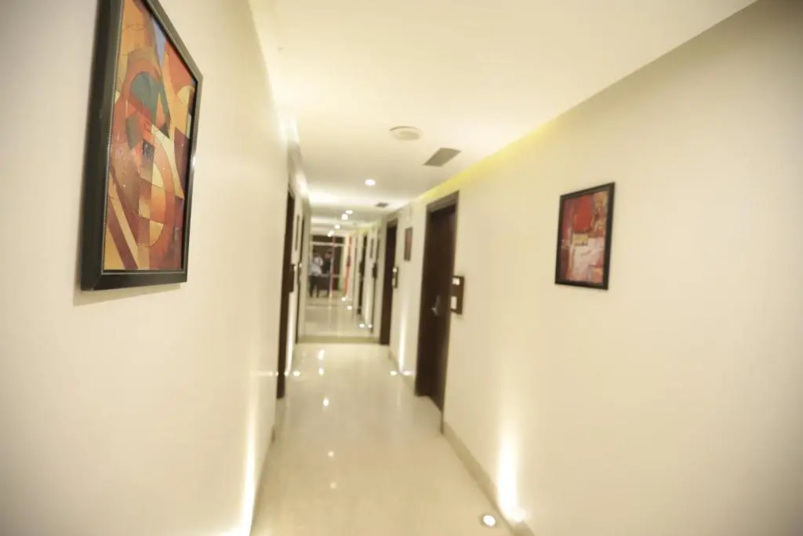 Hotel Picasso Naraina