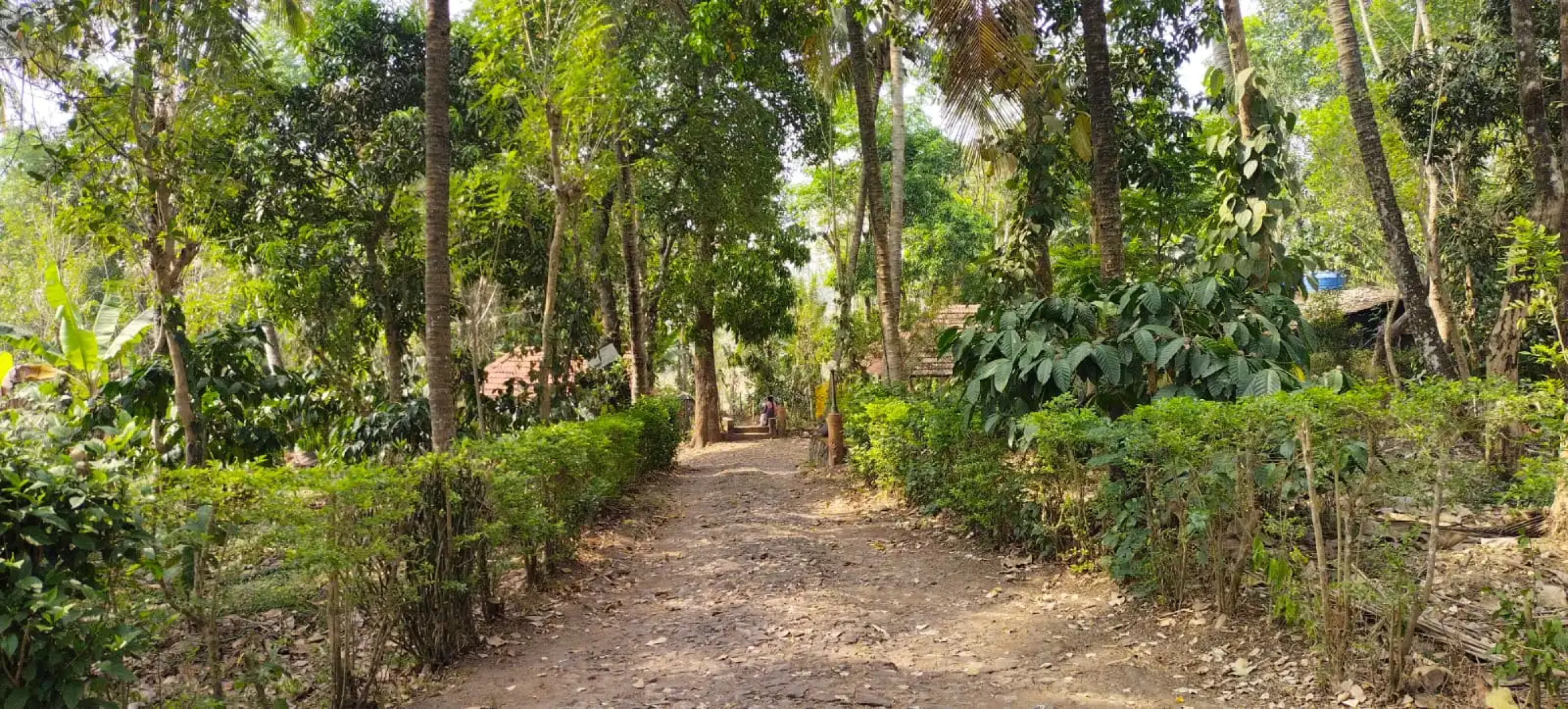 George's Cottages & Resorts