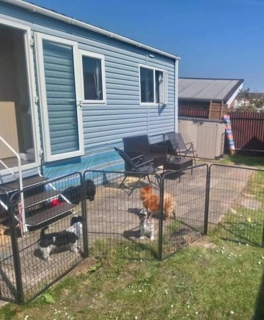 Lovely Multiple dog Friendly Caravan Rhyl