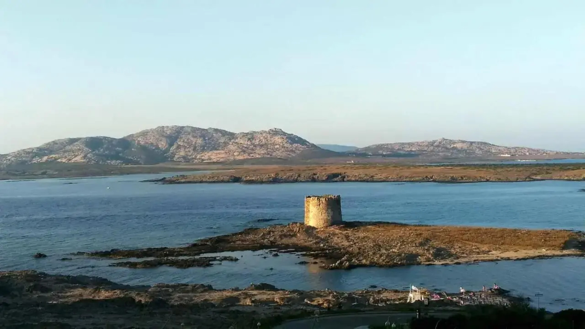 BB Il Gatto Pescatore