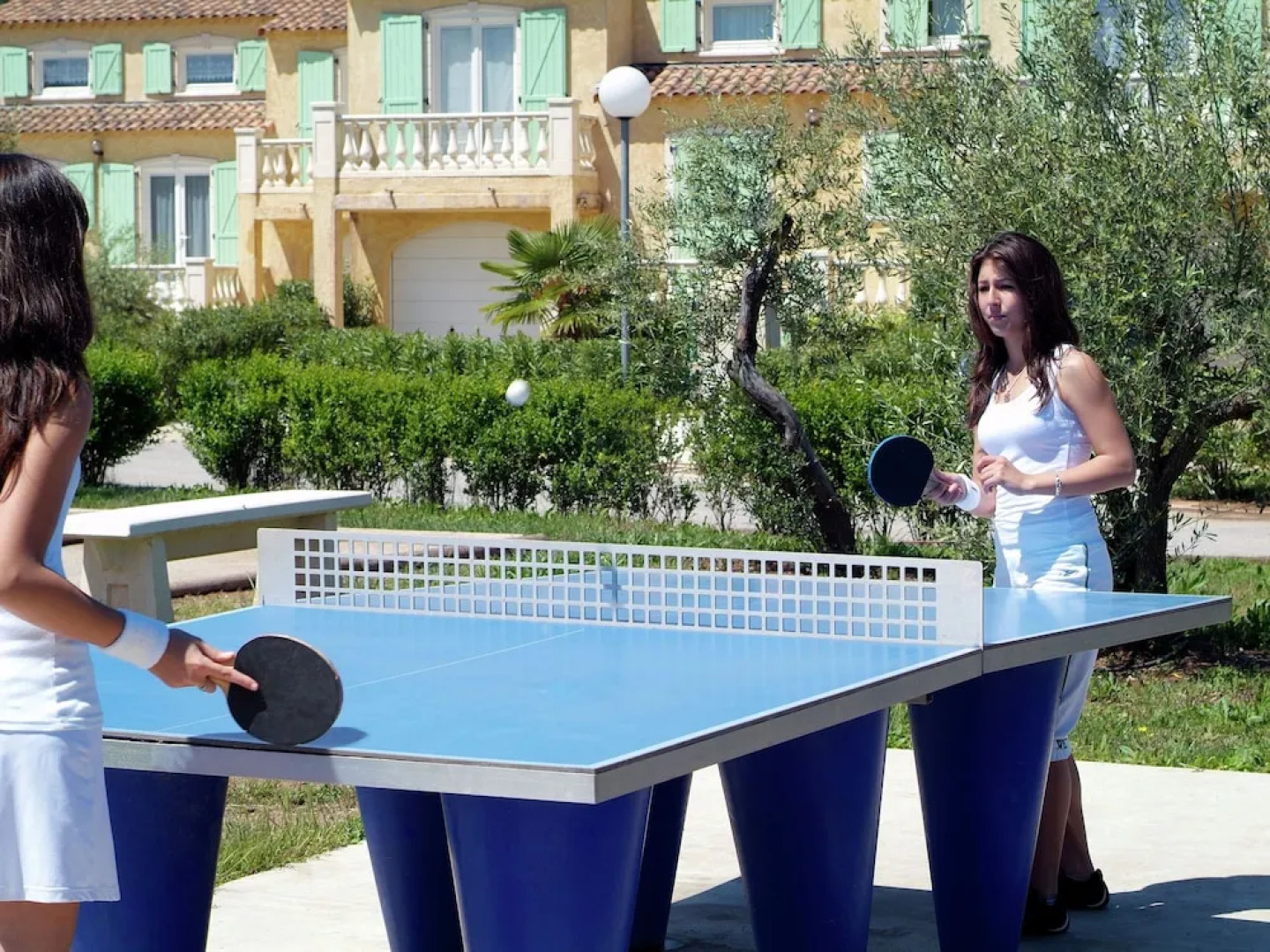 Luxurious Provencal Villa With AC, Near the Nice Vidauban