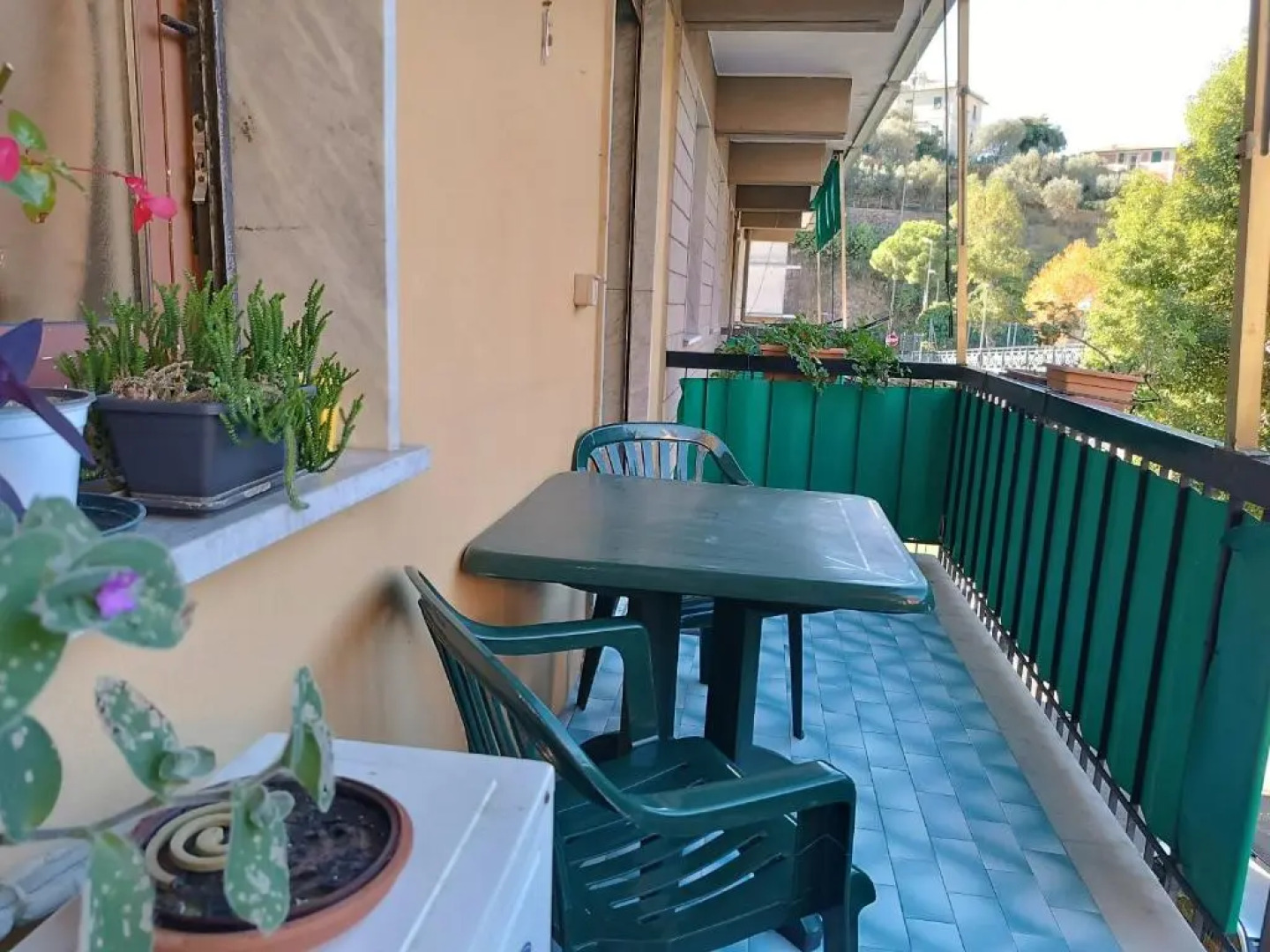 A Dream codice CITRA 010047-LT-0161