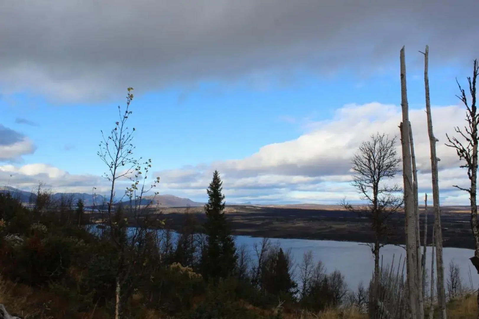 Torshaug 4 bedroom cabin