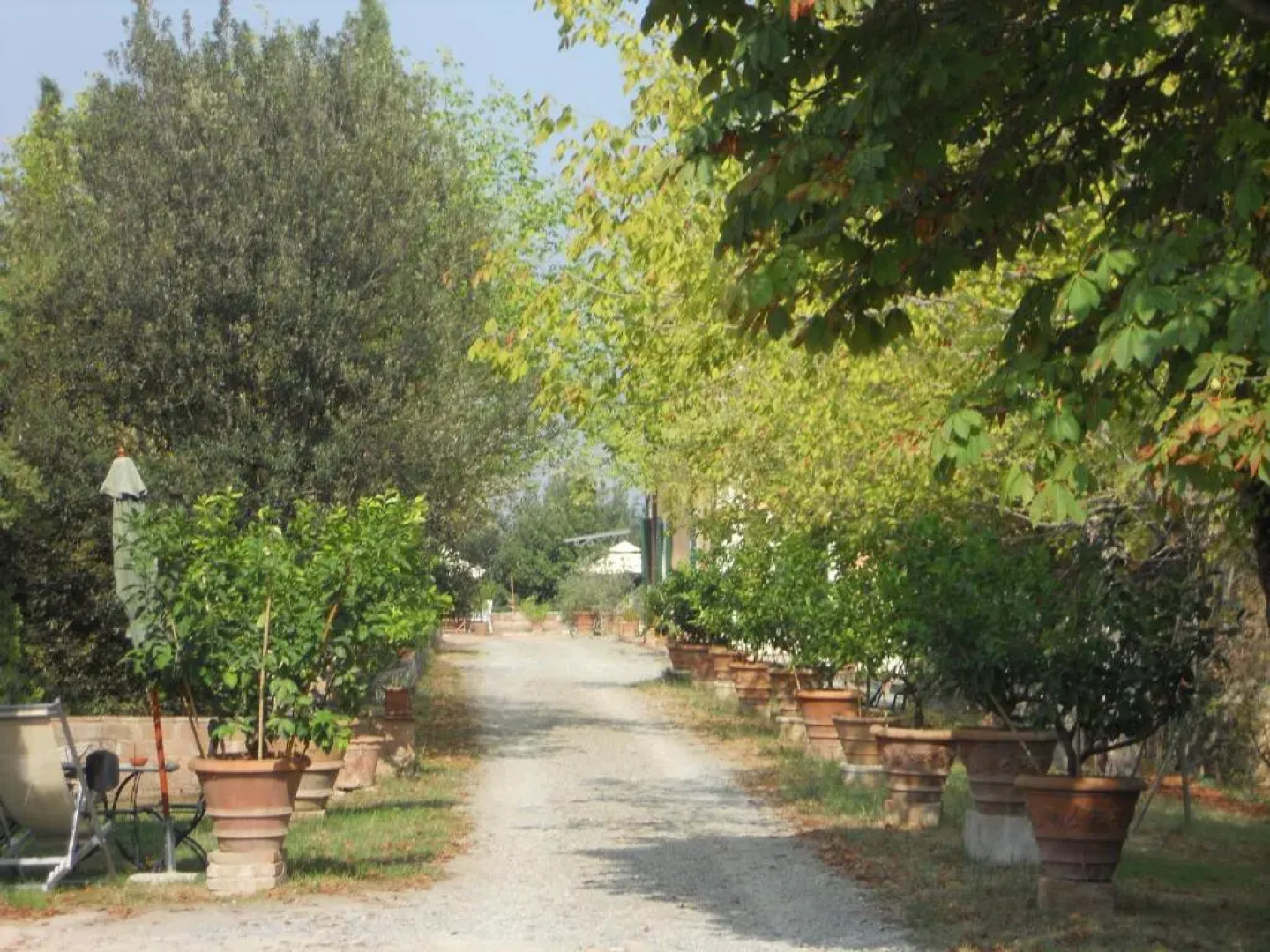 Tenuta Il Tresto