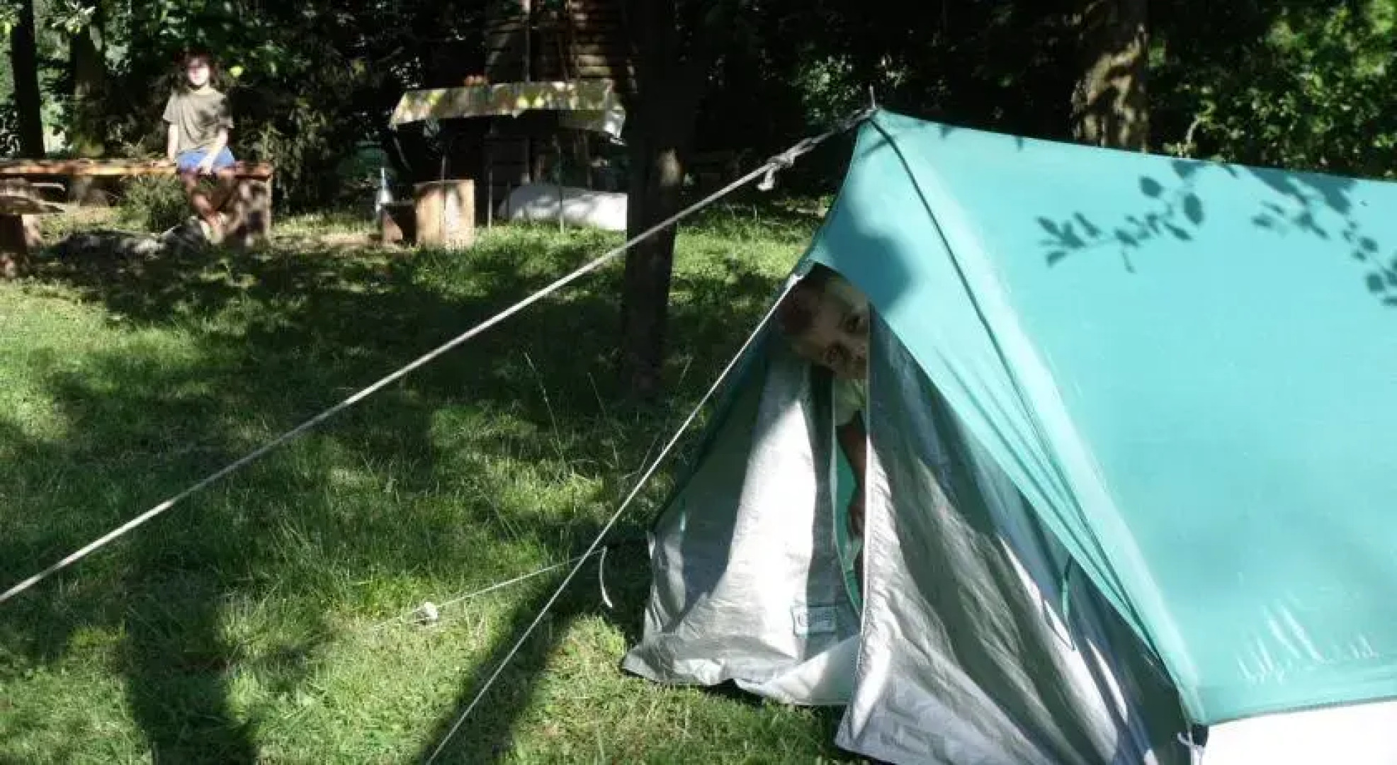 Öreg Fenyő Vendégház