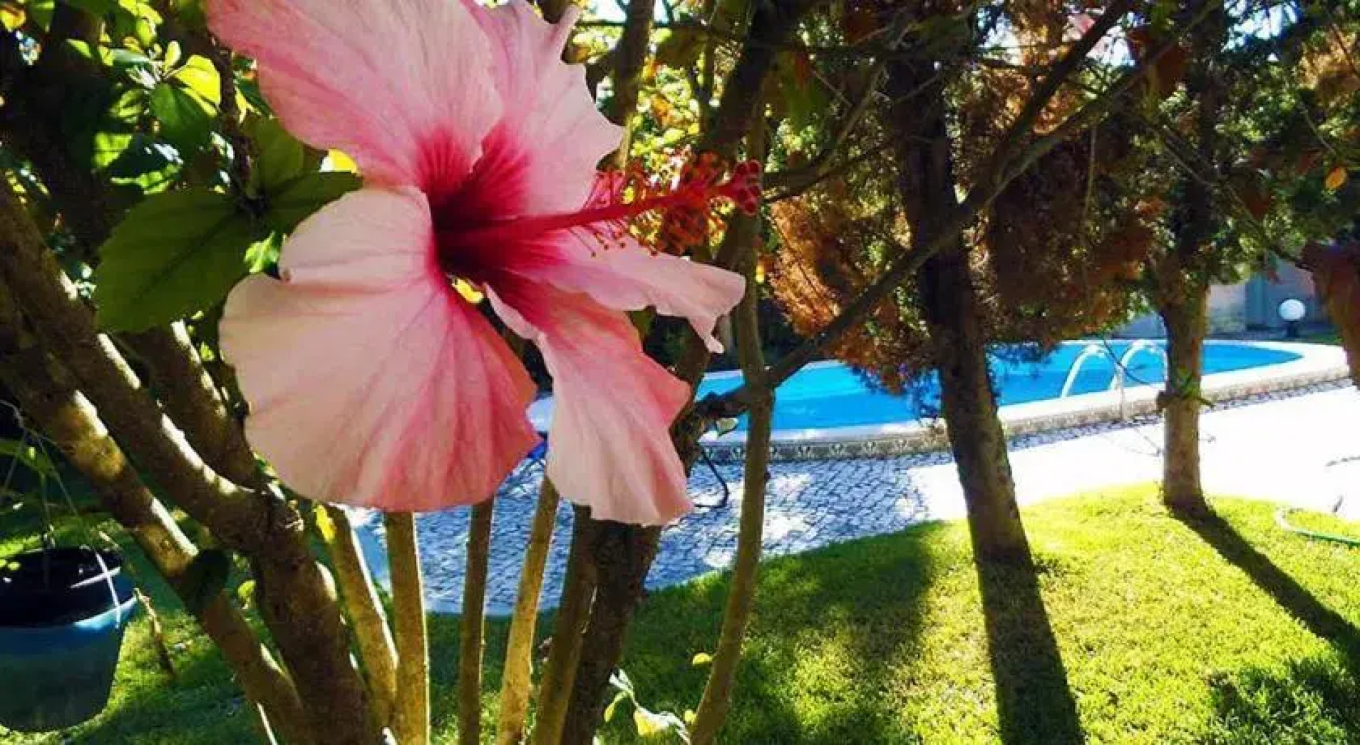 Native Adventure Hostel