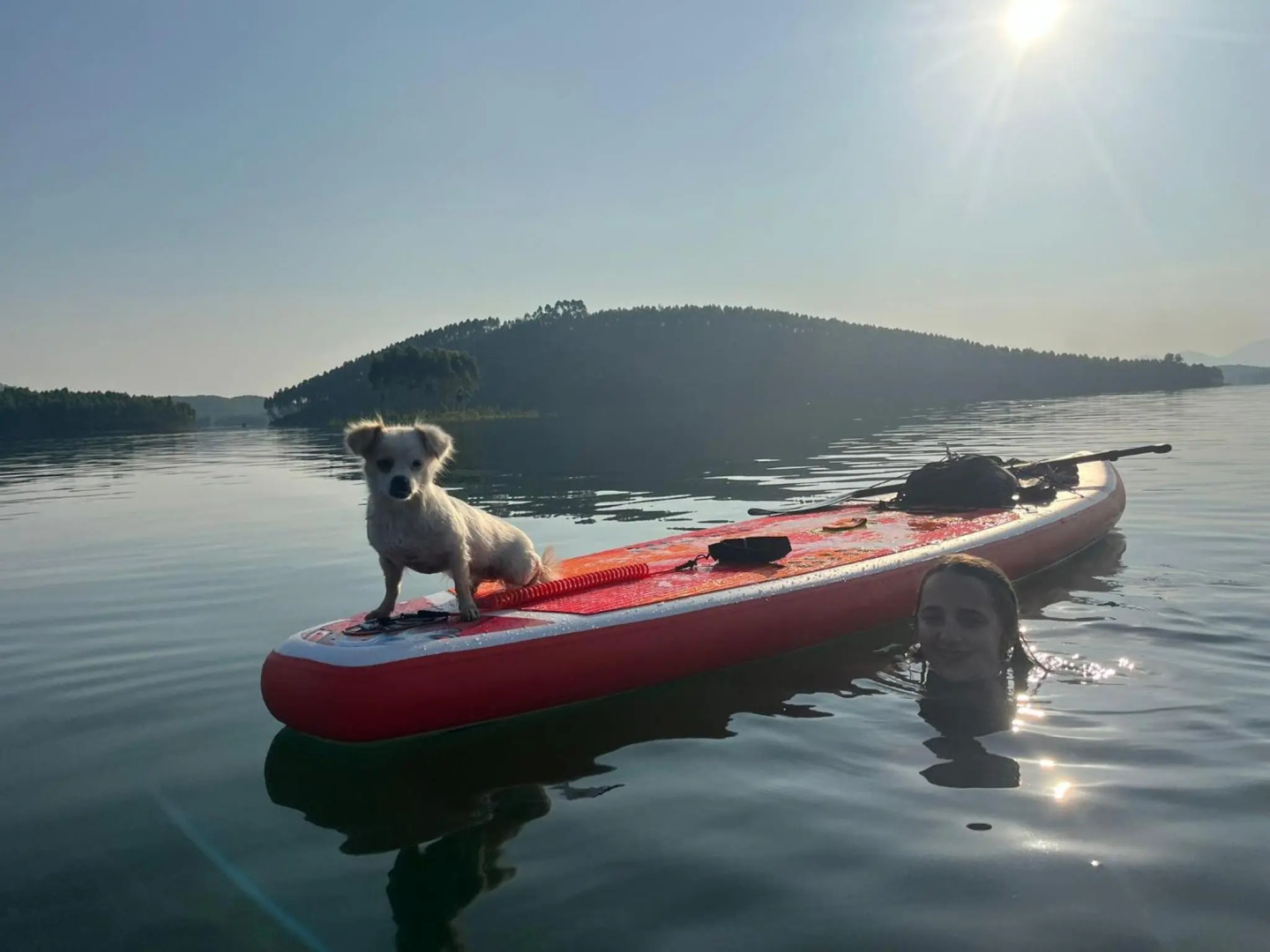 Vu Linh Palm House Eco Homestay