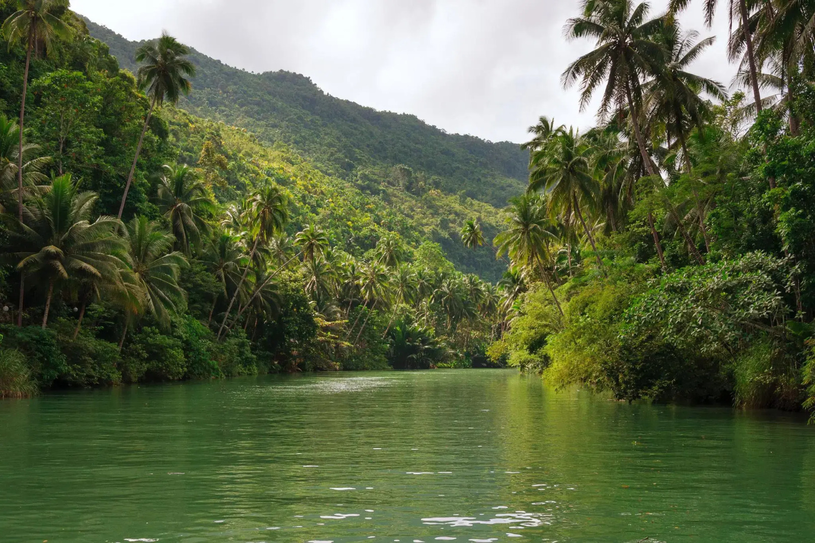 Racadisson Tourist Inn