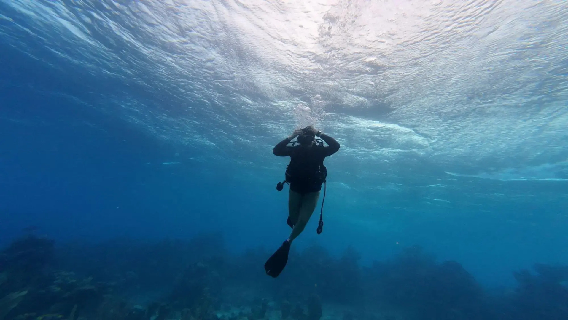 Hotel and Dive Center Roatan Yacht Club