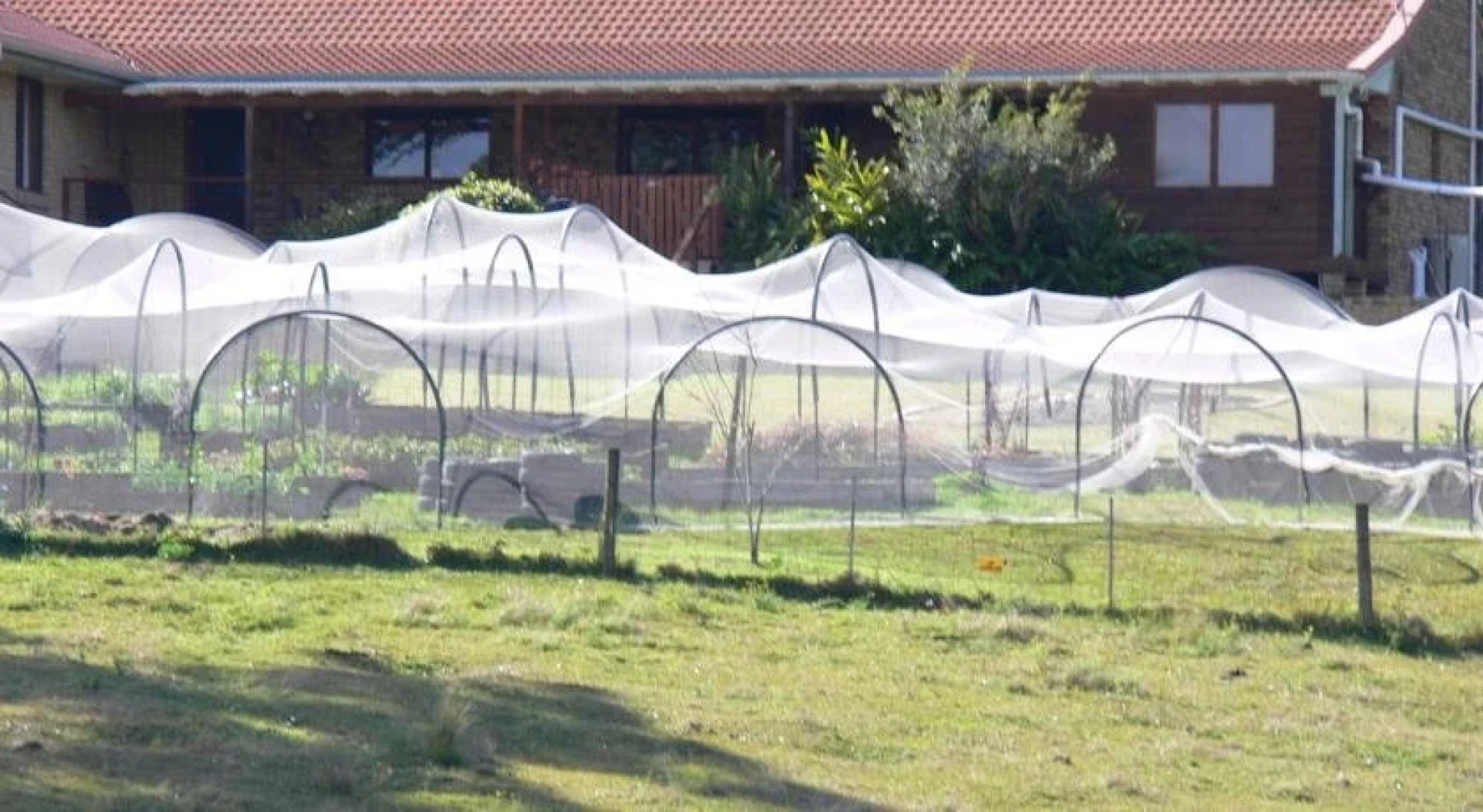 Rural Executive Holiday House @ Lavender Grove Farm