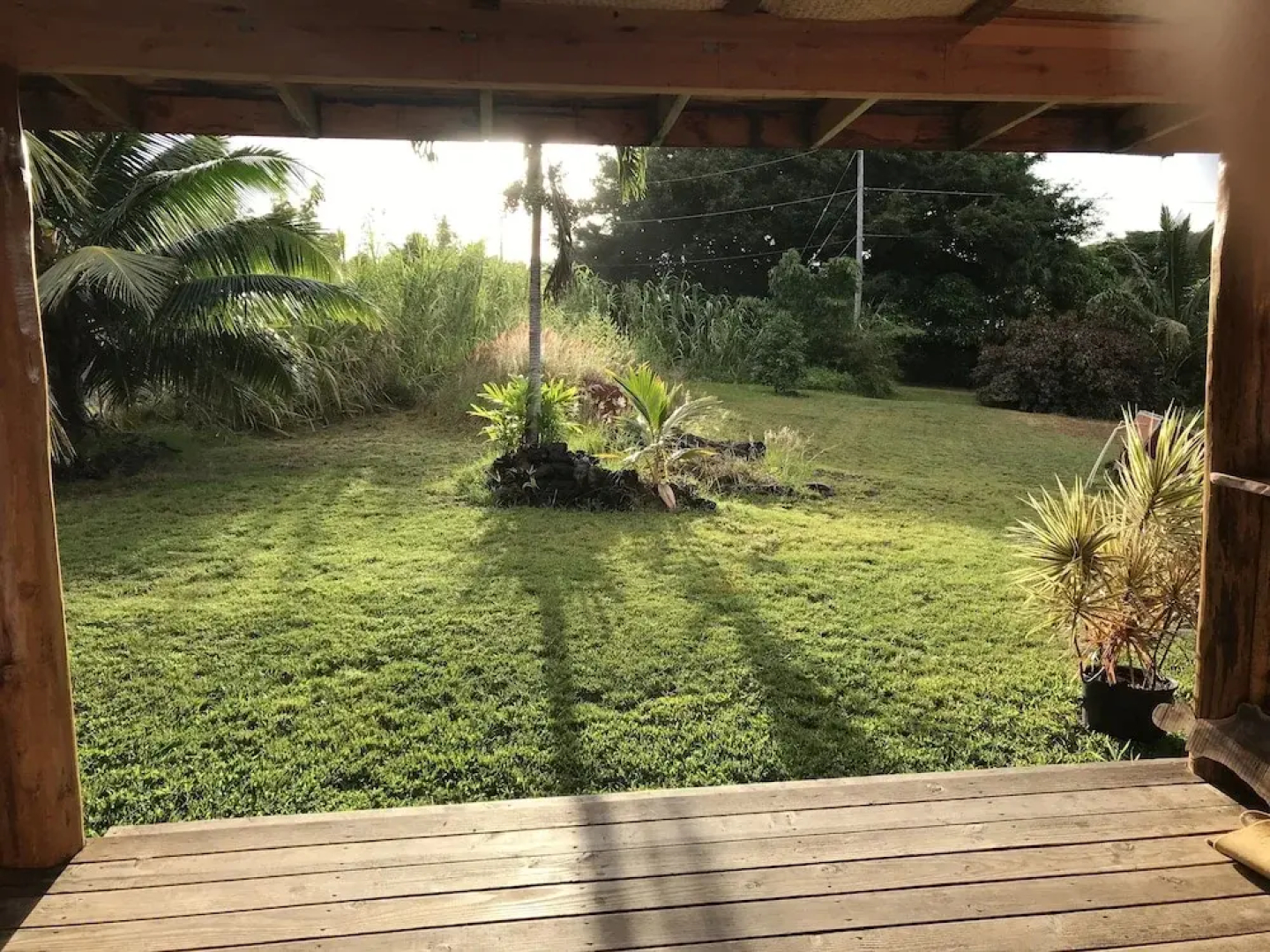 Sweet Spot Stay - Tikis and Treetops