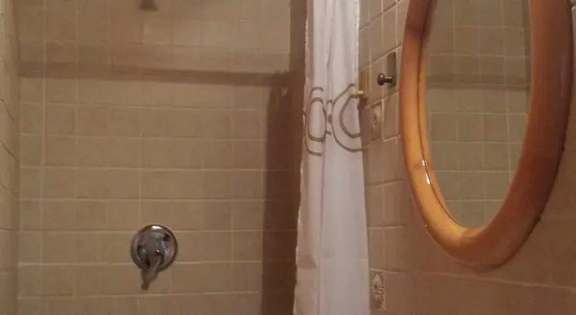 la terra degli ulivi