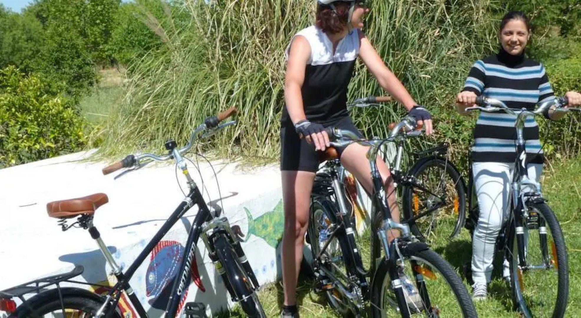 Horta da Lameira - Agroturismo