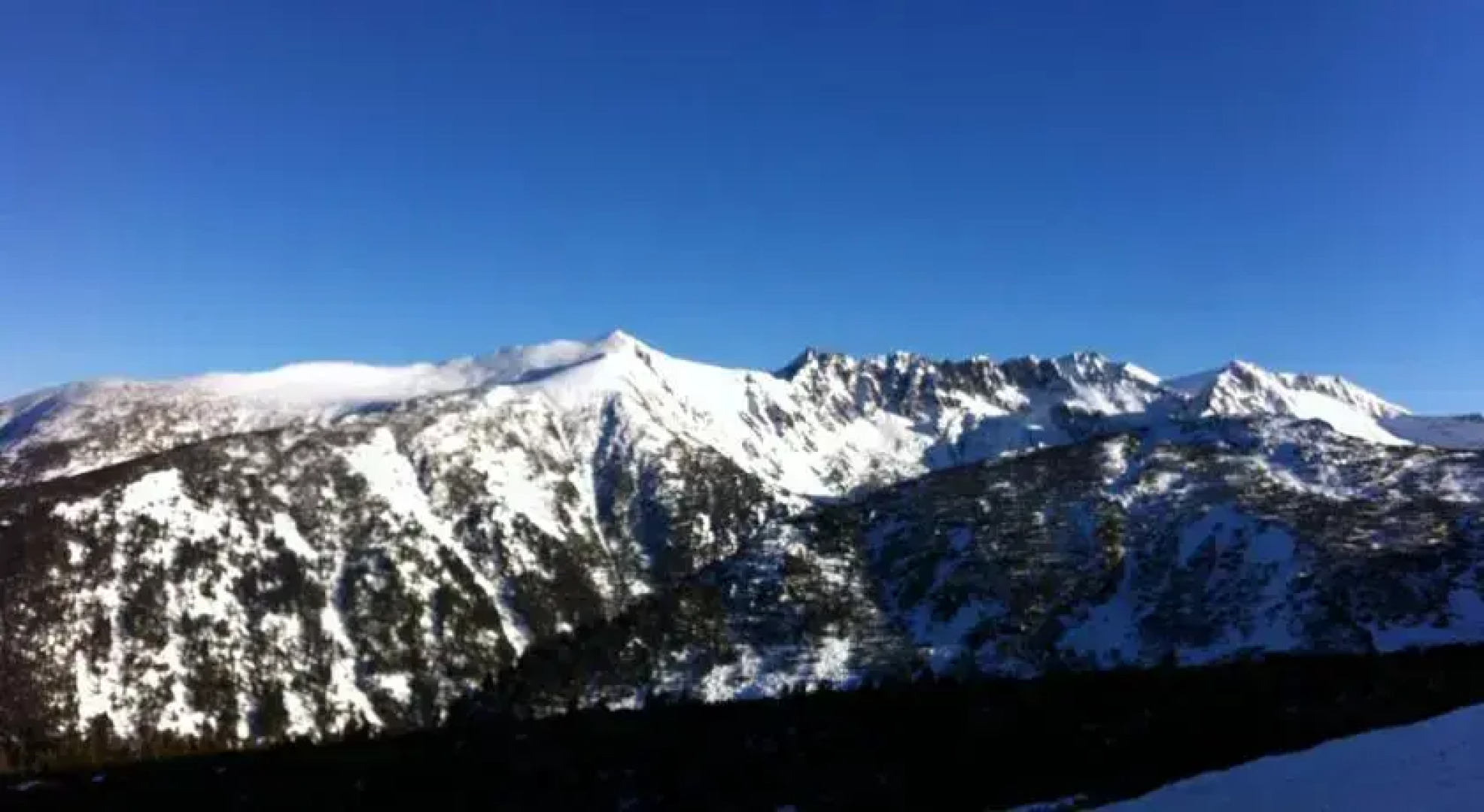 The Green Pine Chalet