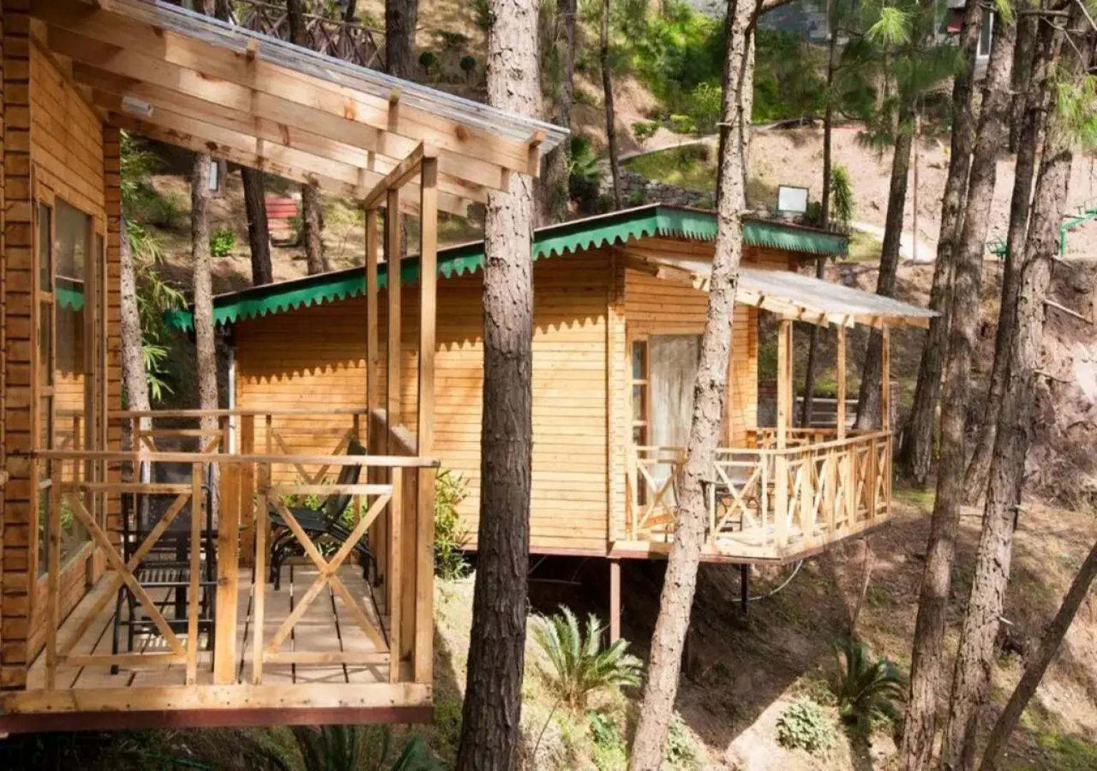 Kasauli Hills Resort