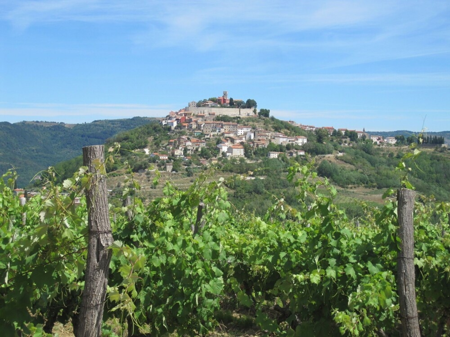 Lovely Villa in Kastelir Croatia With Private Pool