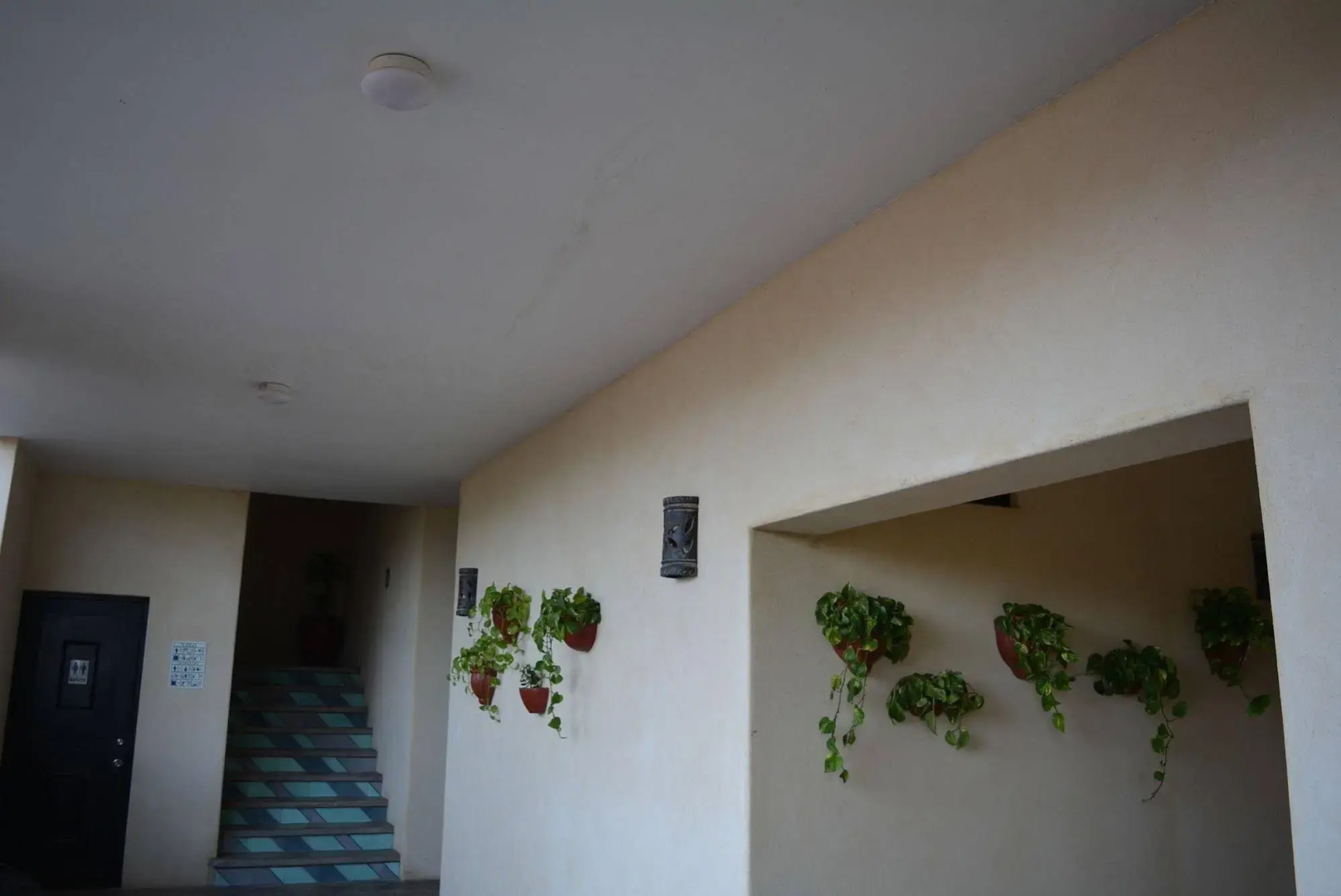 Tortugas Cerritos Beachfront Hotel