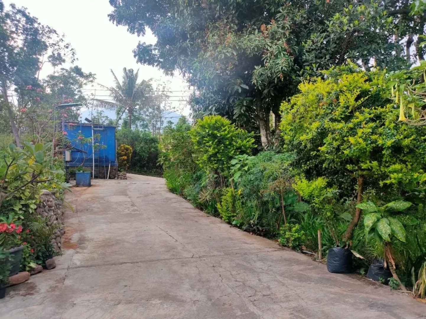 Hotel Rinosari Bandungan