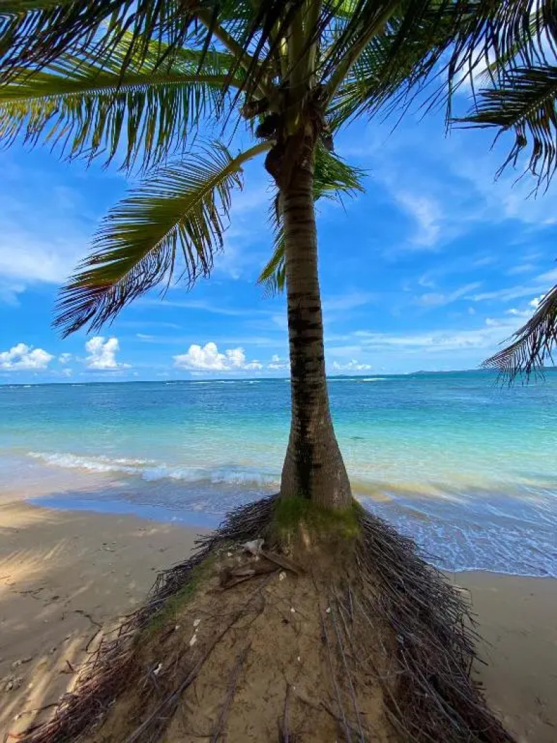 Cozy Beach Apartment