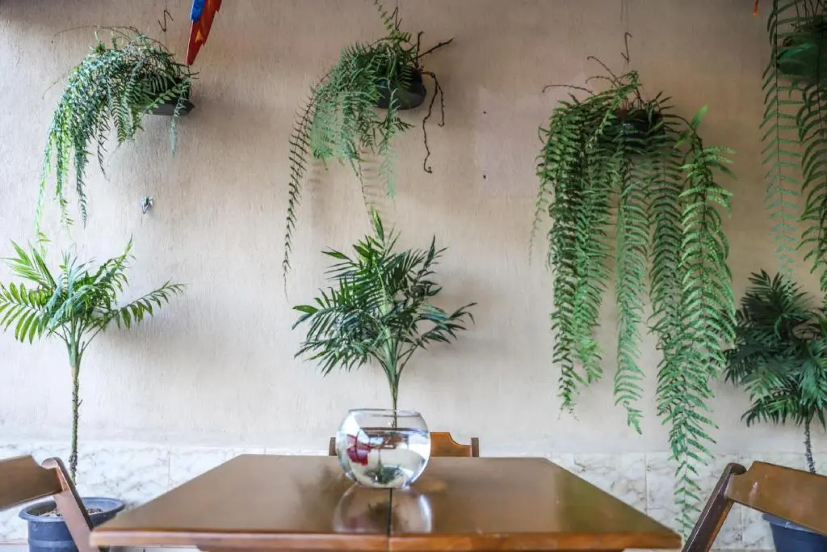 Pousada Serra Da Canastra