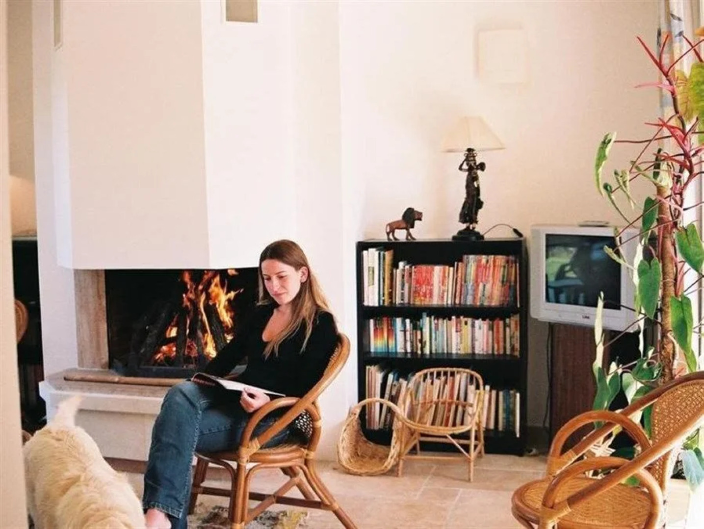 Les Chênes de lEscoutay