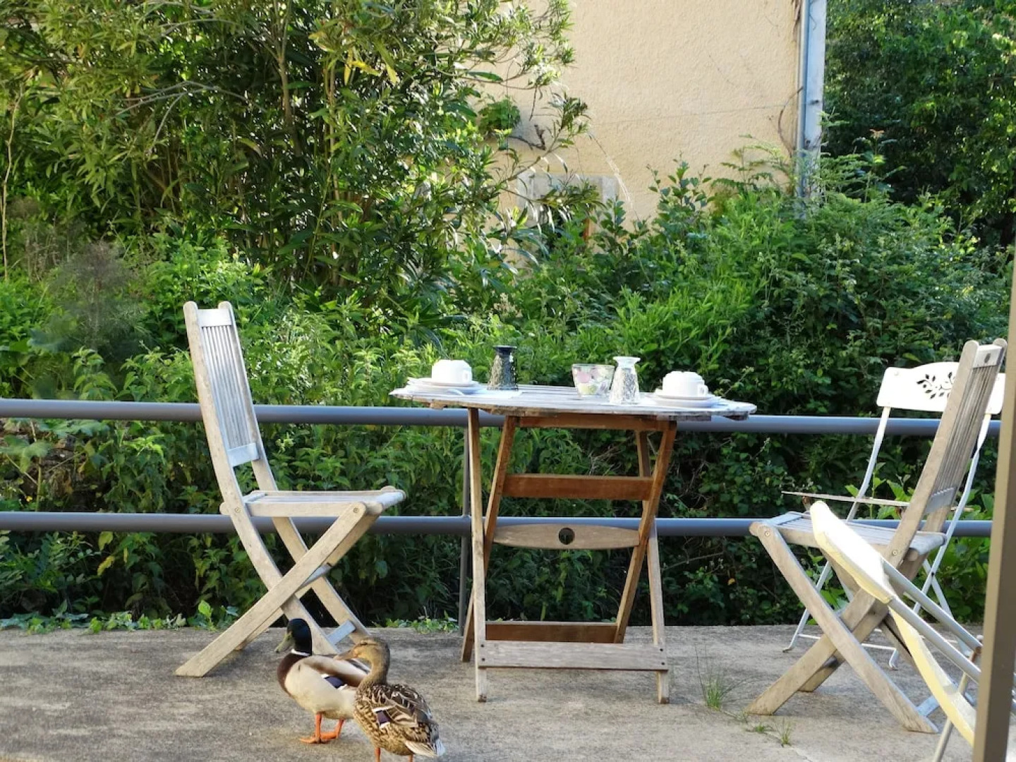 Moulin de la Papeterie Chambres d'hôtes