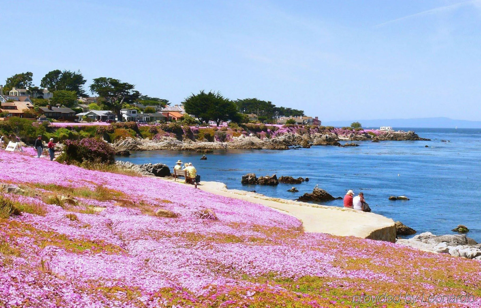 Sea Breeze Lodge