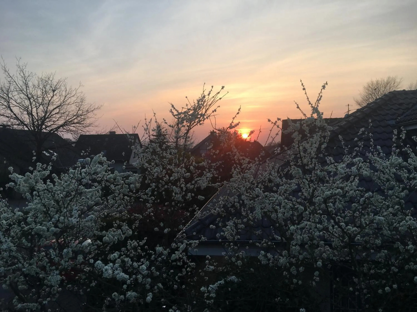 Spechtstraße 65 Ferienwohnung