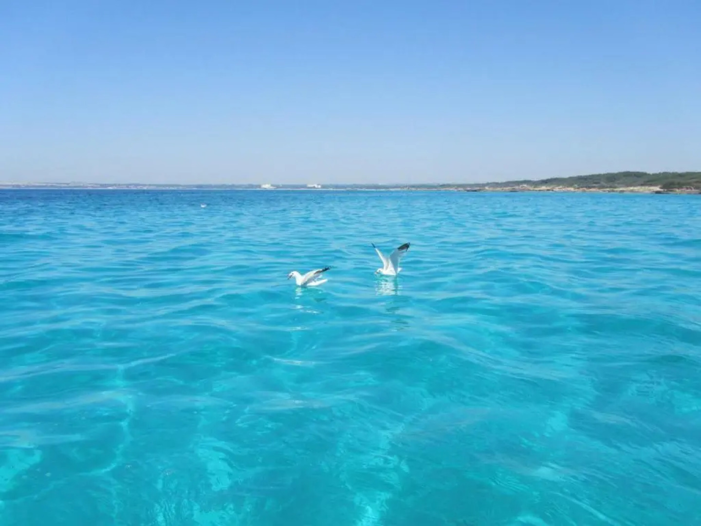 Mistral Exclusive B&B