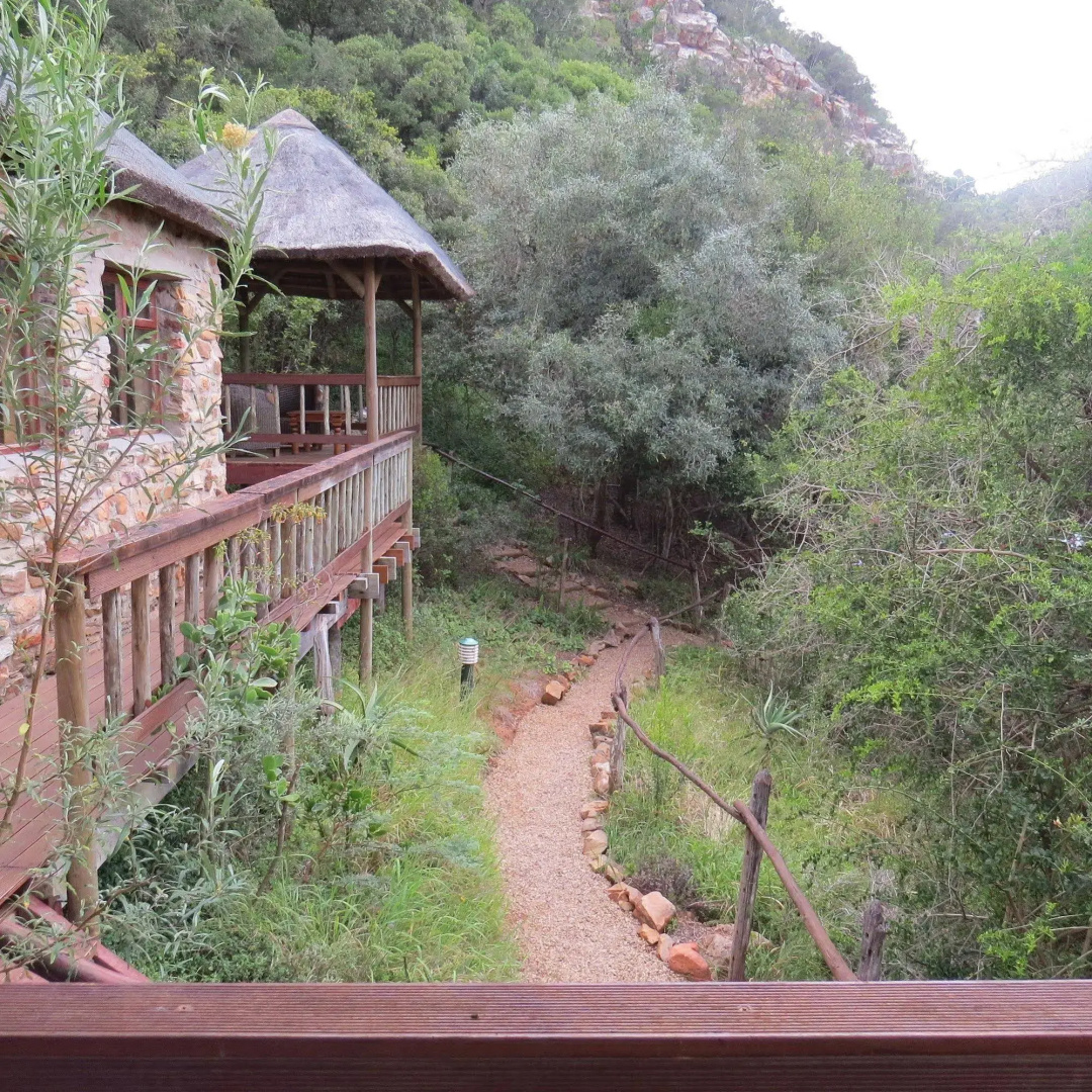 Woodbury Lodge - Amakhala Game Reserve