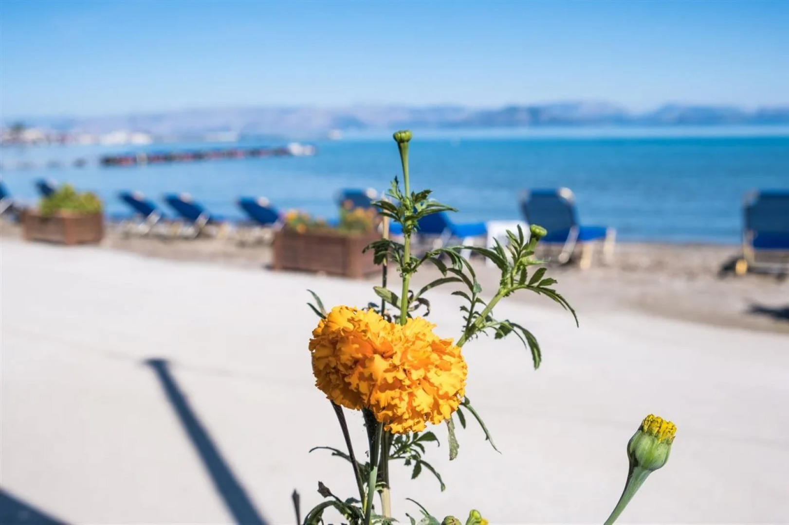 Christina Beachfront Pension